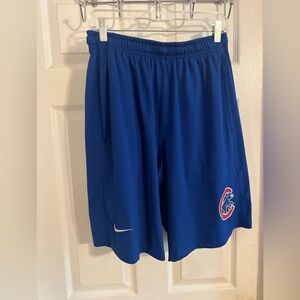 Nike Blue Athletic Shorts